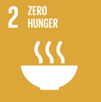 SDG